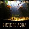 Международный конкурс дизайна биотопных аквариумов - последнее сообщение от Biotope Aquarium